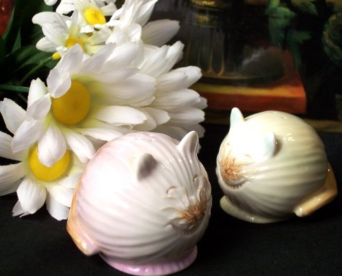 Enesco "Home Grown" CAT Salt & Pepper Shakers