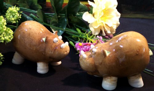 Enesco "Home Grown" HIPPO Salt & Pepper Shakers