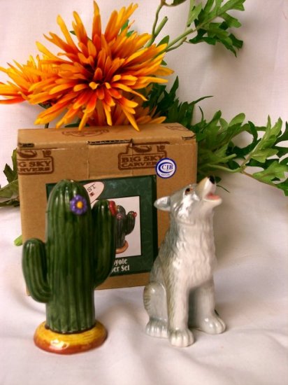 Cactus & Coyote Southwestern Salt & Pepper