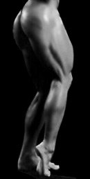 Legs of Steel