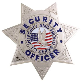 Security Badge 7pt Star Silver FCBA15