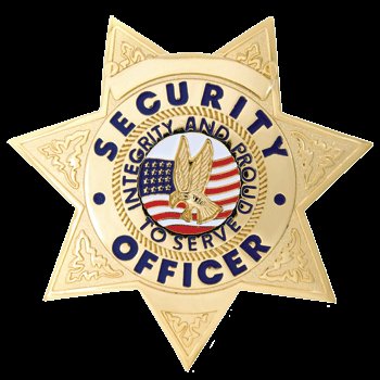 Security Badge 7pt Star Gold FCBA16