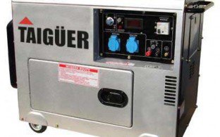 Generador Electrico Diesel Gasolina 7000W Trifásico