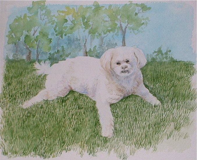 Custom Pet Portraits