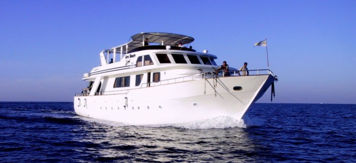 Diving Safari