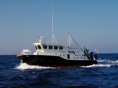 Support Vessel 43
