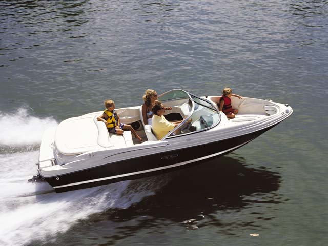 Sea Ray 175