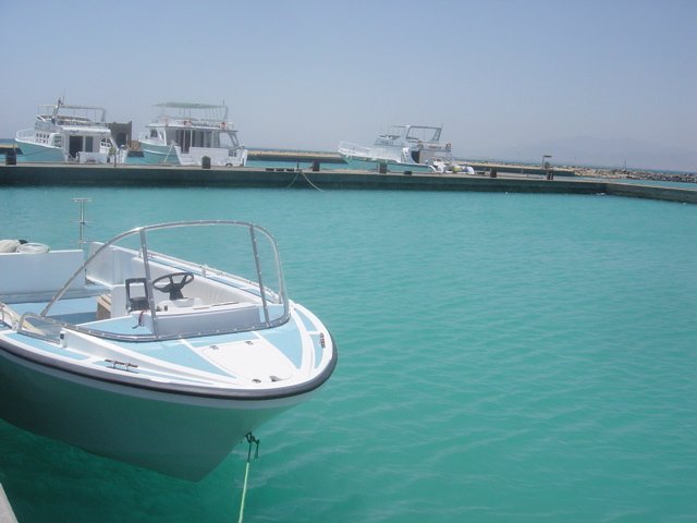 Canyon Divemaster 26