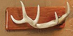 Antlers Hooks Plaque