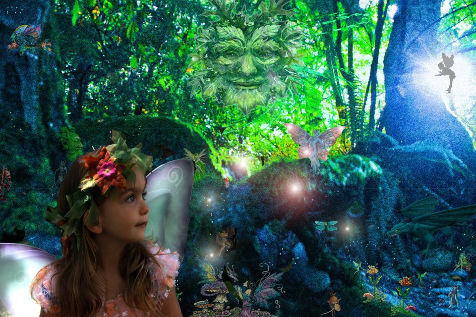 Custom Faery Fantasy Digital Portrait CANVAS Framed Print 12 x 8