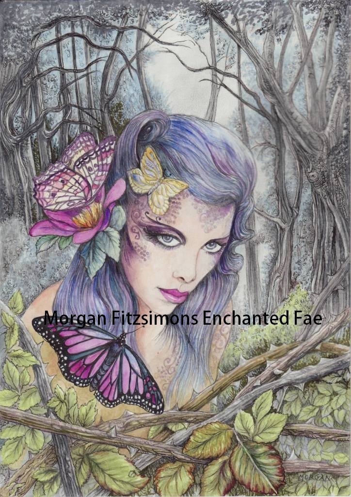 Butterfly Kisses Spirit of The Wildwood 24 x 16 CANVAS FRAMED PRINT