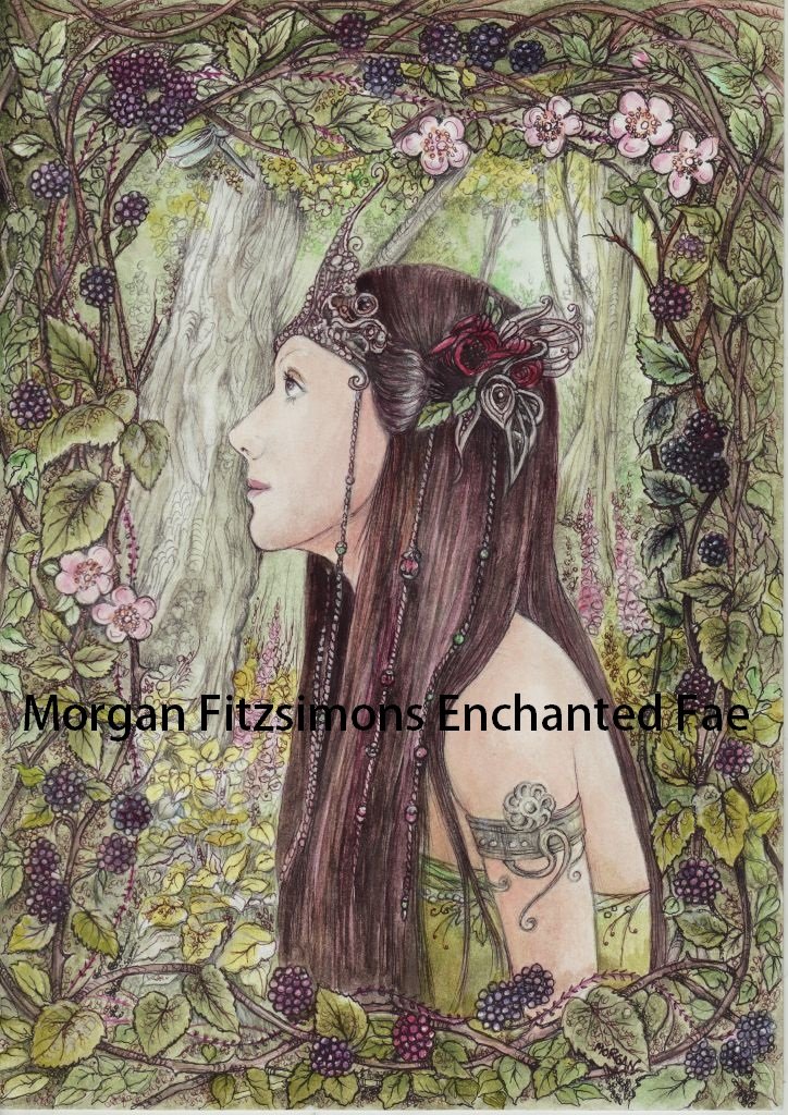 Wild Bryony 24 x 16 FINE ART CANVAS FRAMED PRINT