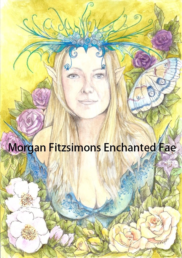 Night Moth Elf 12 x 8 FINE ART CANVAS FRAMED PRINT