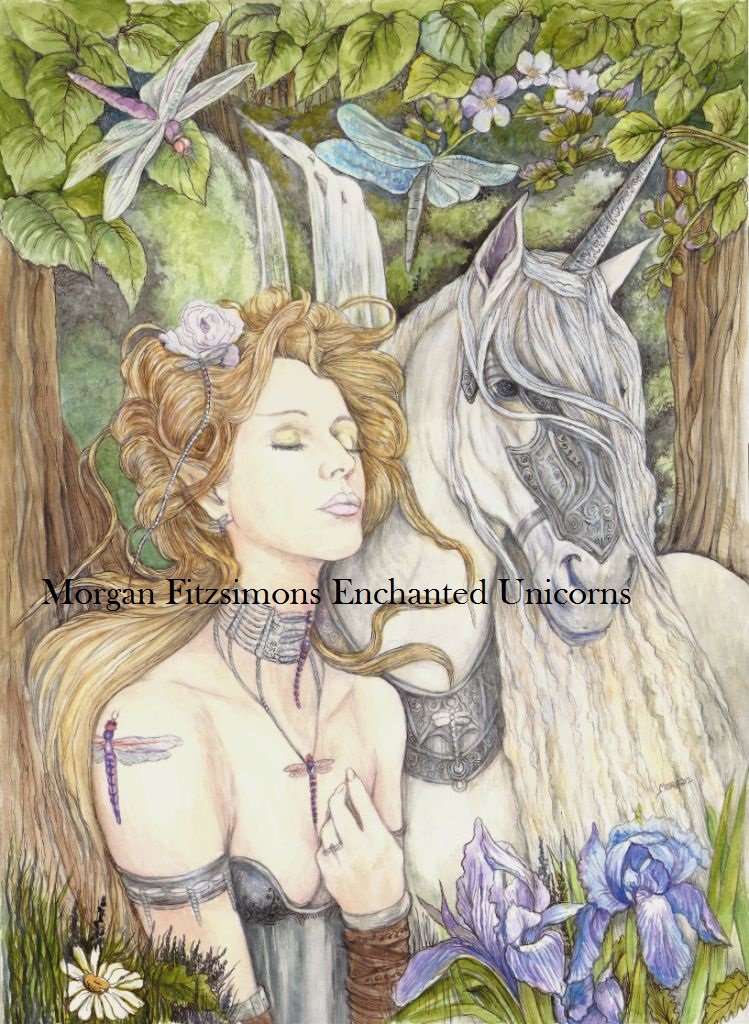 Aeshna and Unicorn 24 x 16 FINE ART CANVAS FRAMED PRINT