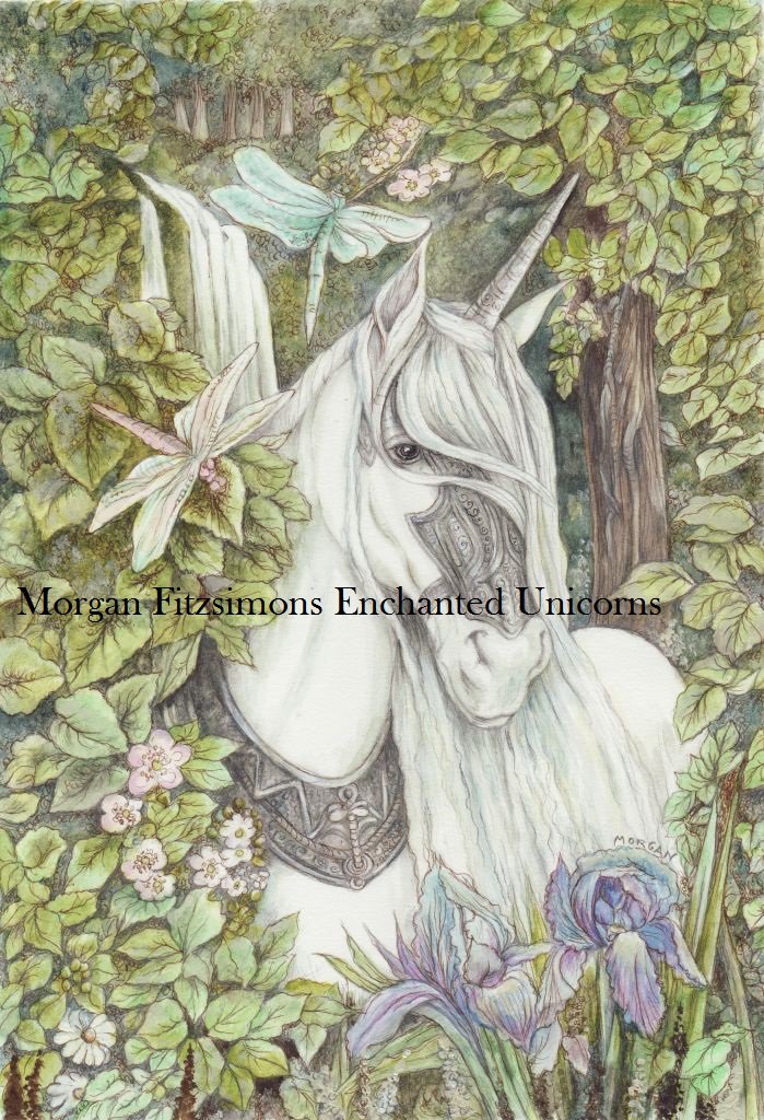 Aeshna and Unicorn 24 x 16 FINE ART CANVAS FRAMED PRINT