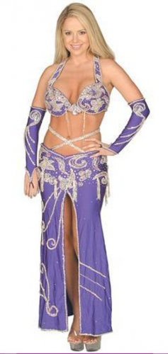 0211L-W92733, 4 Piece Persian Princess Costume with Beaded Details.