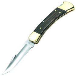 Buck Knife: Folding Hunter