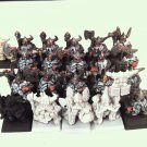 Longbeards Unit (21 incl command)