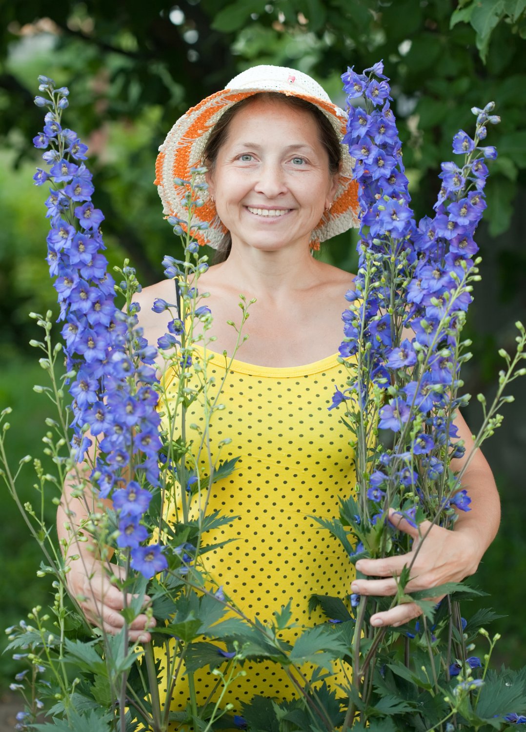 ROCKET LARKSPUR