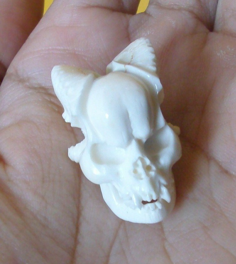 COOL ! Bali Skull Skeleton Demon DEVIL Head from Deer Antler Carving #r389