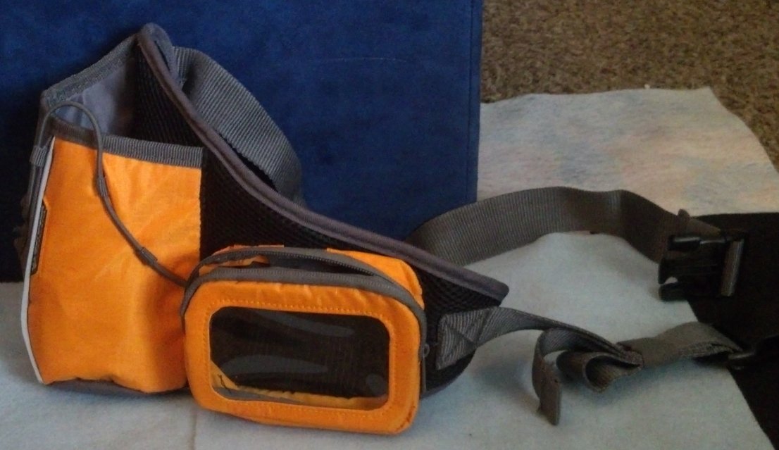 Water bottle, digital player carrying case, waist pack