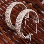 Small Size Super-star CZ-stud Thick Hoop Earrings