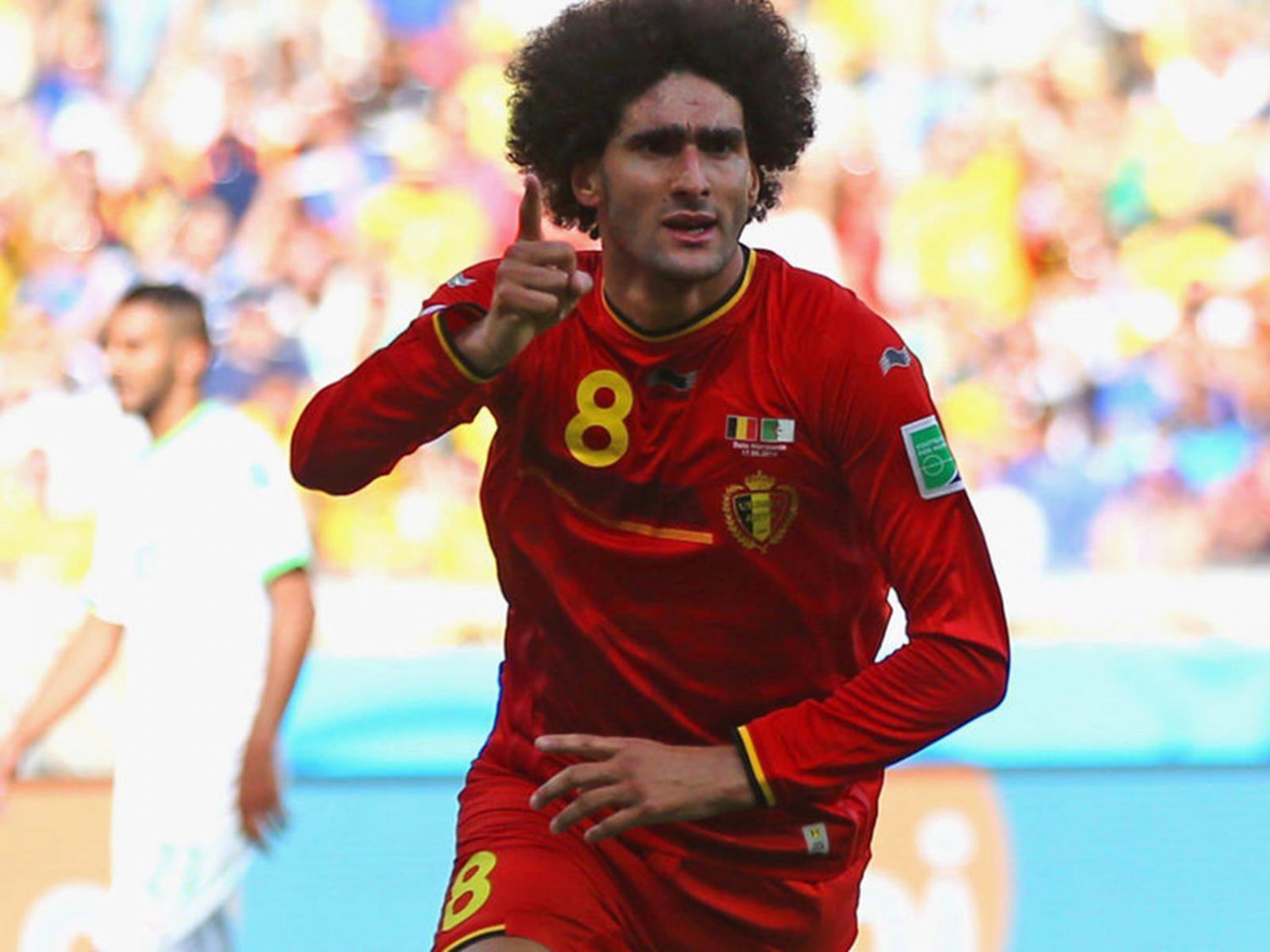 WC 0226 - 8 X 6 Photo - Football - FIFA World Cup 2014 - Belgium V Algeria - Fellaini