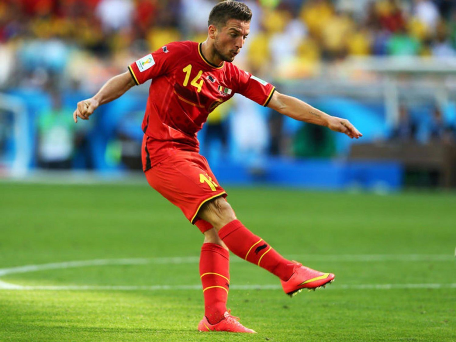 WC 0228 - 8 X 6 Photo - Football - FIFA World Cup 2014 - Belgium V Algeria - Dries Martens