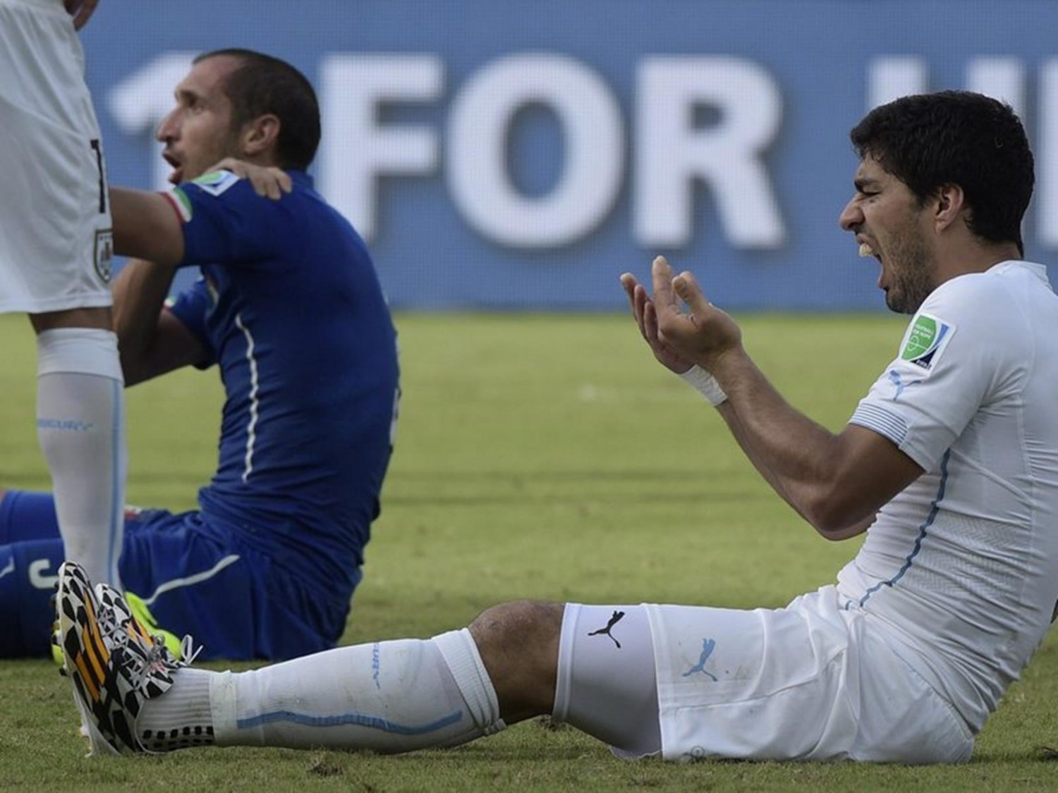 356 - 8 X 6 Photo - Football - FIFA World Cup 2014 - Chellini & Suarez