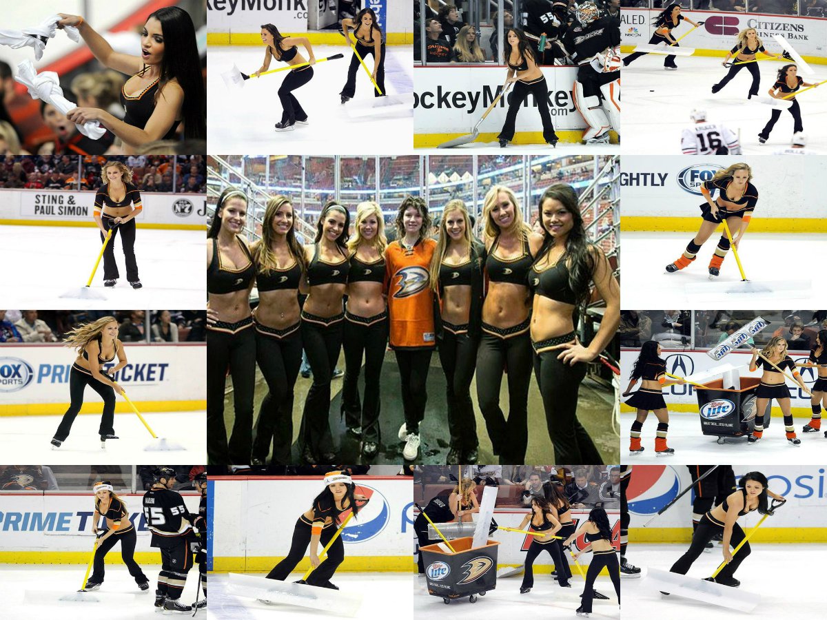 18 x 12 Photo - NHL - Girls - Collage of The Anaheim Ducks Ice Girls