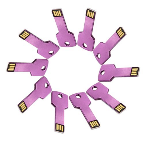 Enfain® 10Pcs Metal Key 16GB USB Flash Drive 2.0 Memory Stick Multi Color Choice (Purple)