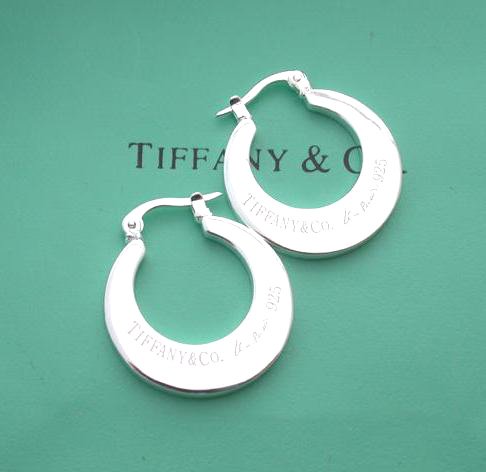 Amazing Sterling new style moon earrings