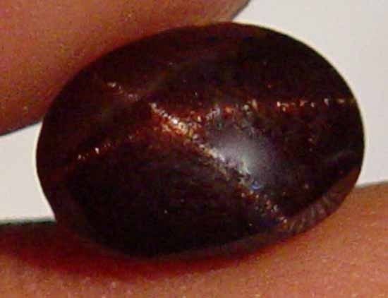 3.00CT 100% Natural Four-Ray Star Garnet 09071559