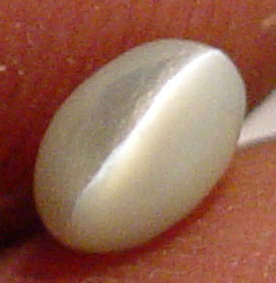 0.65CT Sharp Clean Chrysoberyl Cat's Eye Gem 10081582