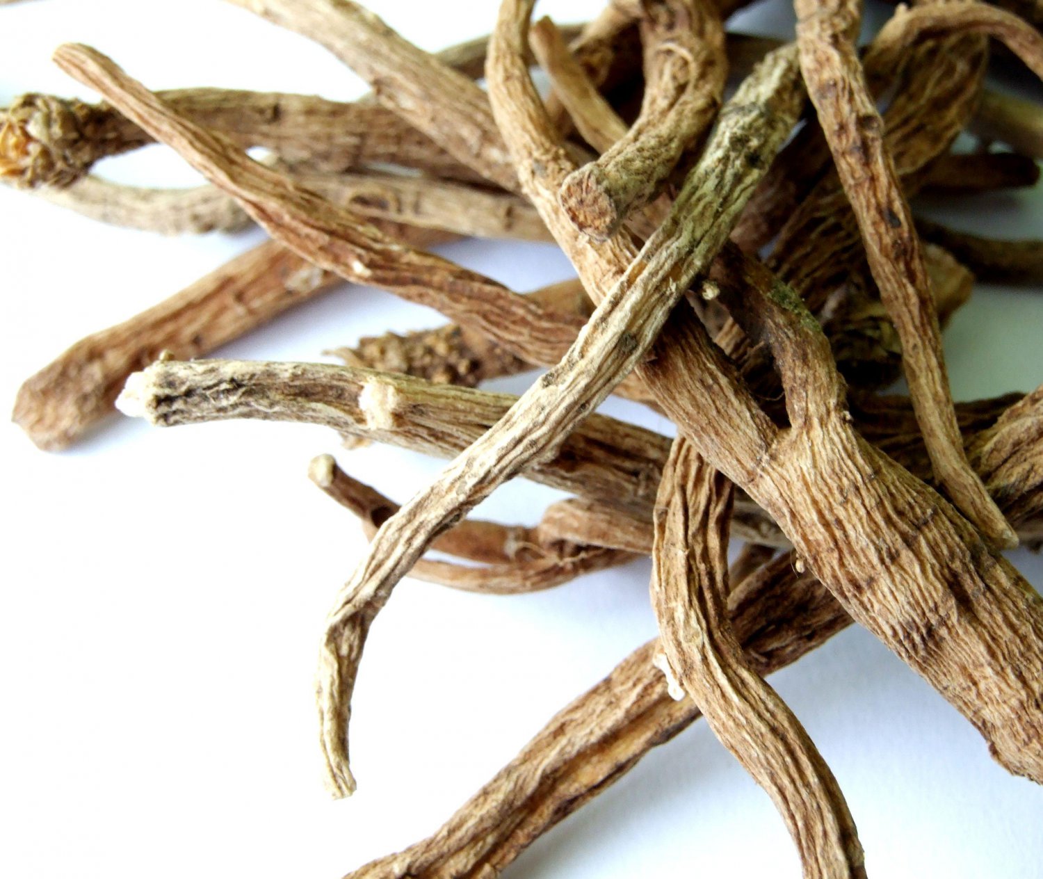 Silene Capensis (Xhosa/African Dream Herb) 500 grams ( 1 lb)