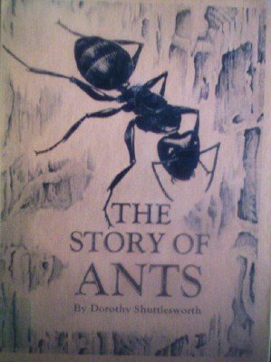 The Story Of Ants by Shuttlesworth, Dorothy