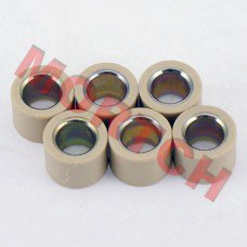 CF250 Variator Roller (23x18)