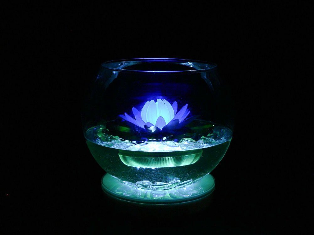 Glow Lily
