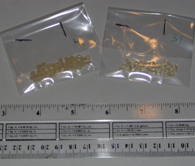 4mm acrylic plastic bicone beads - shiny creams