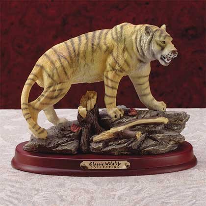 Yellow Tiger on Rock - #28121