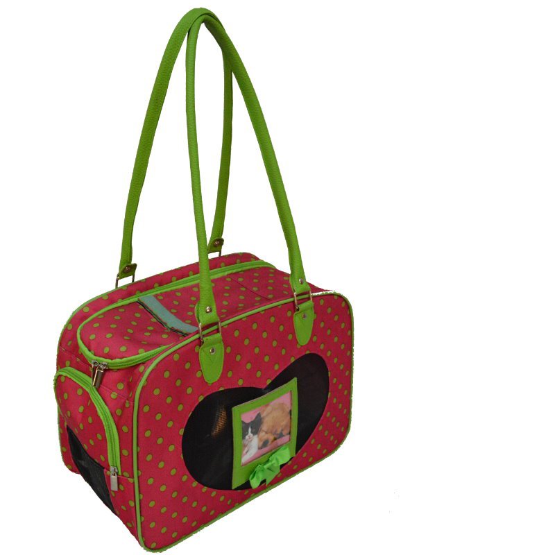 Green Polka Dots Pet Carrier