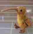 beak the kiwi bird