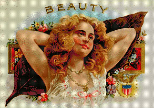 Beauty Counted Cross Stitch - Aida 14 Count