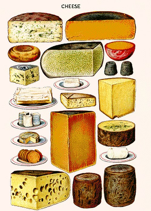 Cheese Collage Counted Cross Stitch - Aida 14 Count