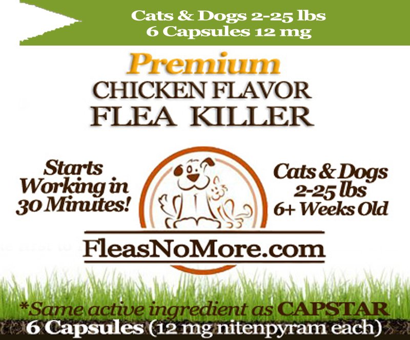 Flea Killer Kills Fleas Cats Dogs Generic CAPSTAR Nitenyram 6 Capsules 12 mg FREE US SHIPPING
