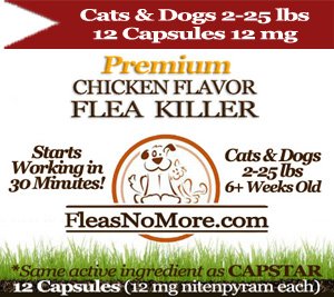 Flea Killer Kills Fleas Cats Dogs Generic CAPSTAR Nitenyram 12 Capsules 12 mg FREE US SHIPPING