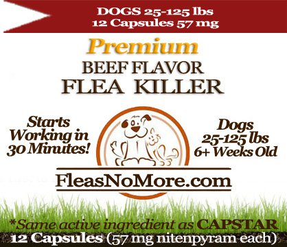 Flea Killer Kills Fleas Fast Dogs Generic CAPSTAR Nitenyram 12 Capsules 57 mg FREE US SHIPPING