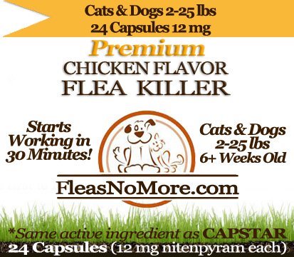 Flea Killer Kills Fleas Cats Dogs Generic CAPSTAR Nitenyram 24 Capsules 12 mg FREE US SHIPPING