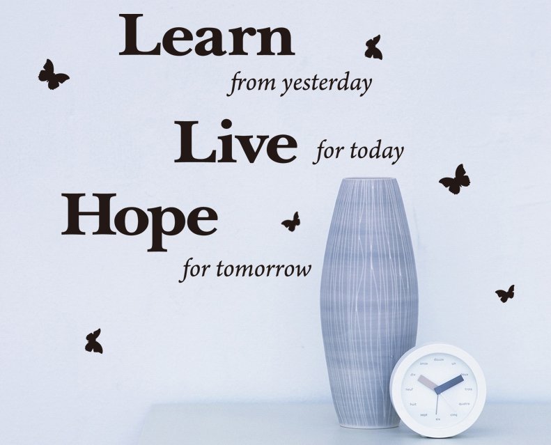 'Learn, Live, Hope' Wall Art Quotes Vinyl Sticker