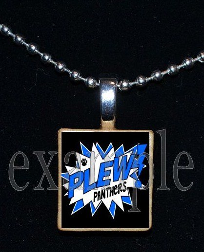 JAMES E PLEW PANTHERS Elementary School Team Mascot Pendant Necklace Charm or Keychain